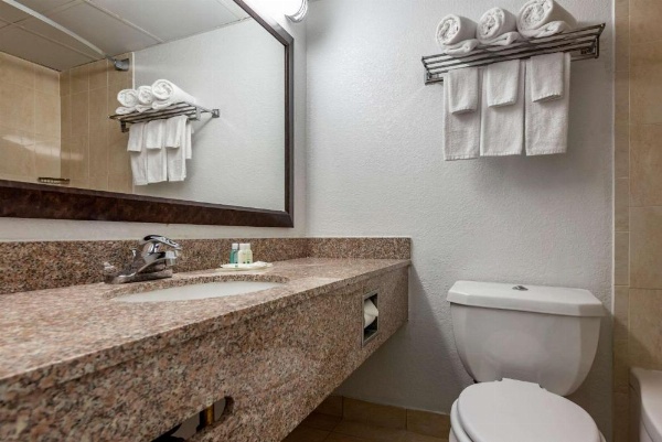 Quality Inn & Suites Vestal Binghamton Near University image 17
